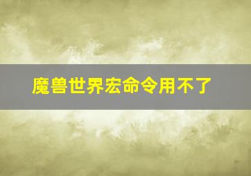 魔兽世界宏命令用不了