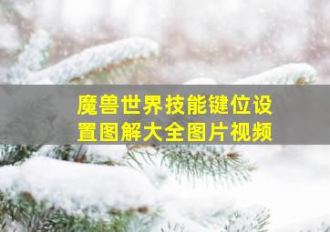 魔兽世界技能键位设置图解大全图片视频