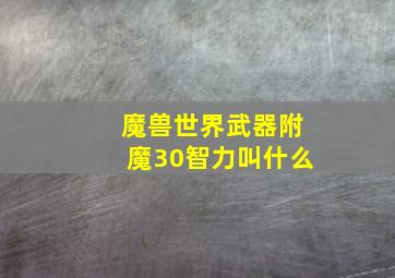 魔兽世界武器附魔30智力叫什么