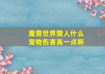 魔兽世界猎人什么宠物伤害高一点啊