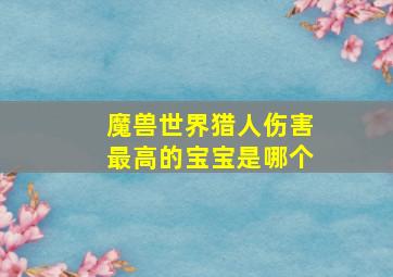 魔兽世界猎人伤害最高的宝宝是哪个