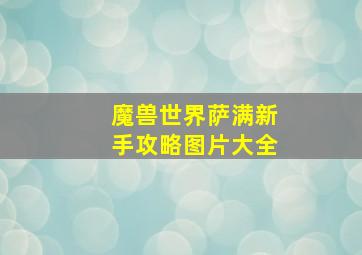 魔兽世界萨满新手攻略图片大全