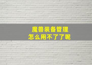 魔兽装备管理怎么用不了了呢