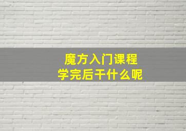 魔方入门课程学完后干什么呢