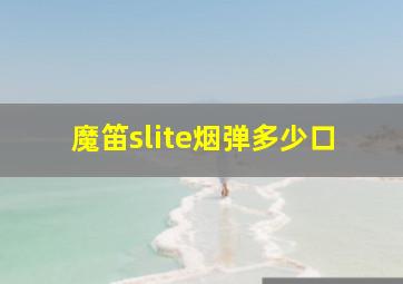 魔笛slite烟弹多少口