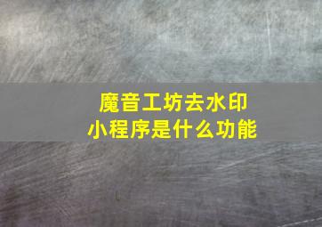 魔音工坊去水印小程序是什么功能