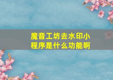 魔音工坊去水印小程序是什么功能啊