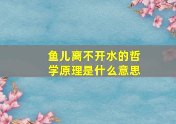 鱼儿离不开水的哲学原理是什么意思