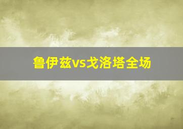 鲁伊兹vs戈洛塔全场