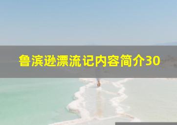 鲁滨逊漂流记内容简介30