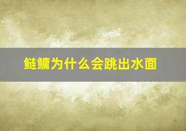 鲢鳙为什么会跳出水面