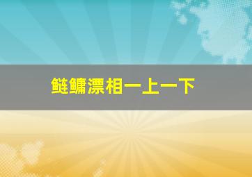 鲢鳙漂相一上一下