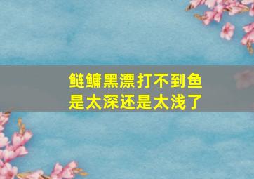 鲢鳙黑漂打不到鱼是太深还是太浅了