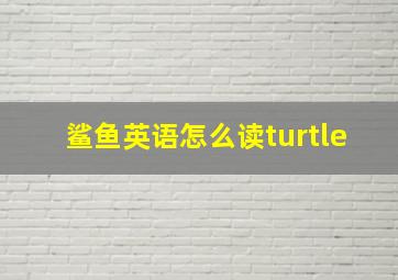 鲨鱼英语怎么读turtle