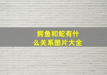 鳄鱼和蛇有什么关系图片大全