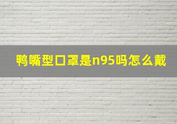 鸭嘴型口罩是n95吗怎么戴