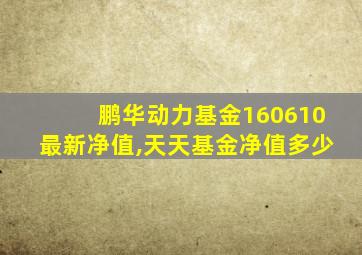 鹏华动力基金160610最新净值,天天基金净值多少