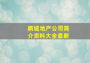 鹏城地产公司简介资料大全最新