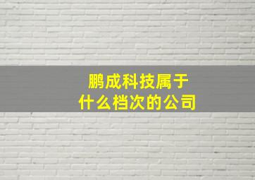 鹏成科技属于什么档次的公司