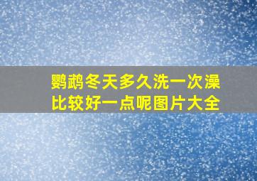 鹦鹉冬天多久洗一次澡比较好一点呢图片大全