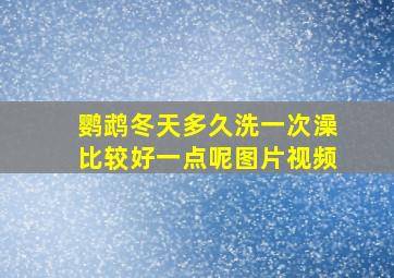 鹦鹉冬天多久洗一次澡比较好一点呢图片视频