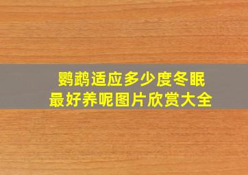 鹦鹉适应多少度冬眠最好养呢图片欣赏大全