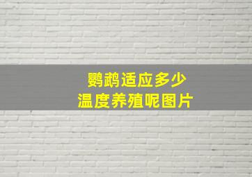 鹦鹉适应多少温度养殖呢图片