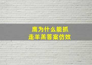 鹰为什么能抓走羊羔答案仿效