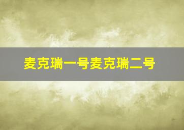 麦克瑞一号麦克瑞二号