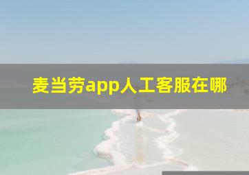 麦当劳app人工客服在哪