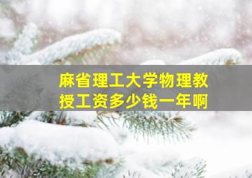 麻省理工大学物理教授工资多少钱一年啊