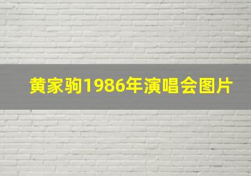 黄家驹1986年演唱会图片