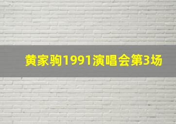 黄家驹1991演唱会第3场