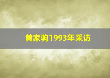 黄家驹1993年采访