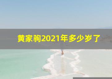 黄家驹2021年多少岁了