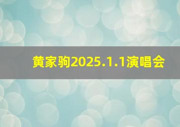 黄家驹2025.1.1演唱会