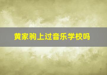 黄家驹上过音乐学校吗