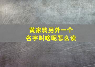 黄家驹另外一个名字叫啥呢怎么读