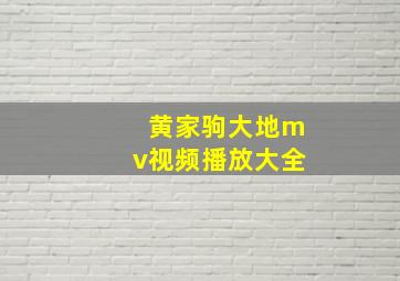 黄家驹大地mv视频播放大全