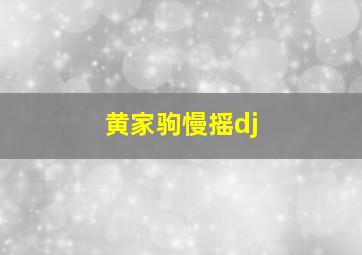 黄家驹慢摇dj