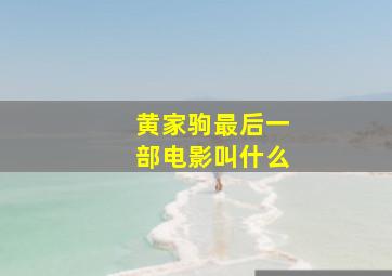 黄家驹最后一部电影叫什么