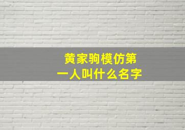 黄家驹模仿第一人叫什么名字