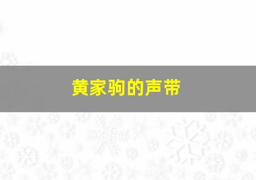 黄家驹的声带