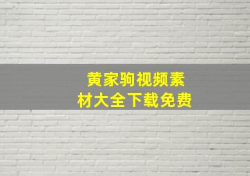 黄家驹视频素材大全下载免费