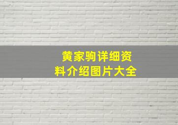 黄家驹详细资料介绍图片大全