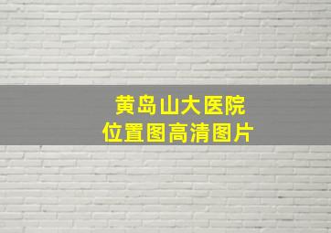 黄岛山大医院位置图高清图片