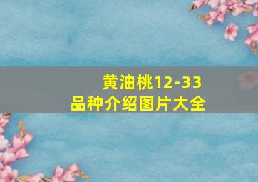 黄油桃12-33品种介绍图片大全