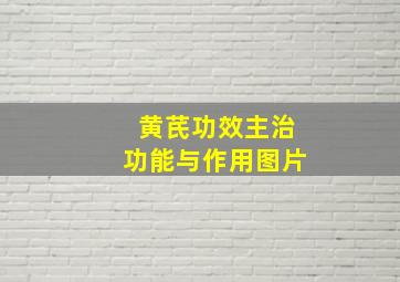 黄芪功效主治功能与作用图片