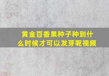 黄金百香果种子种到什么时候才可以发芽呢视频