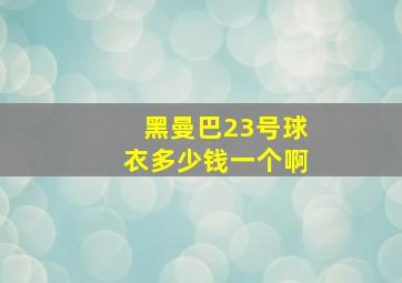 黑曼巴23号球衣多少钱一个啊